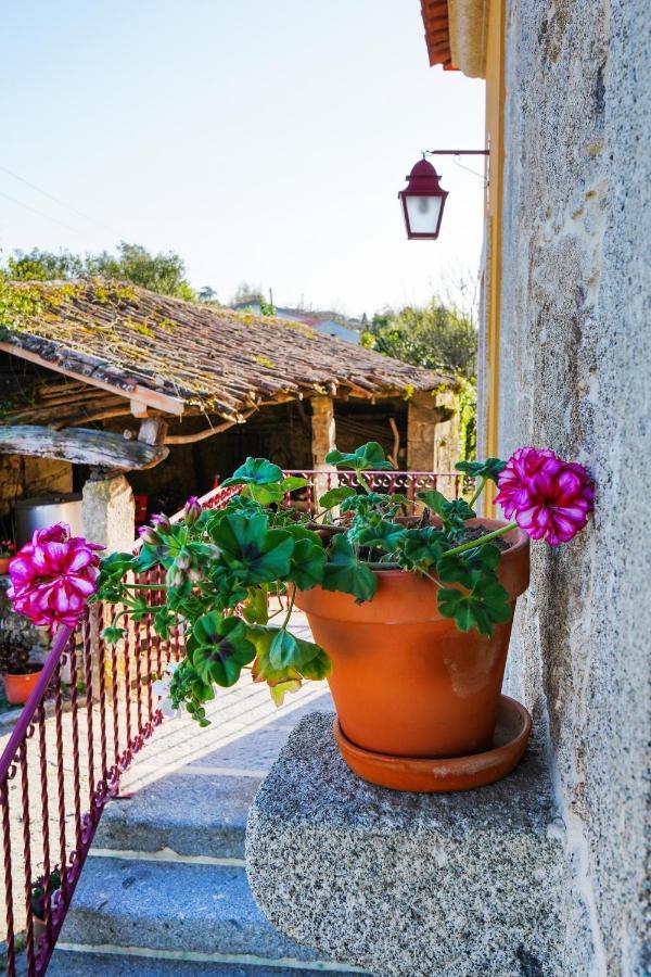 Casa Do Ribeiro Country house *