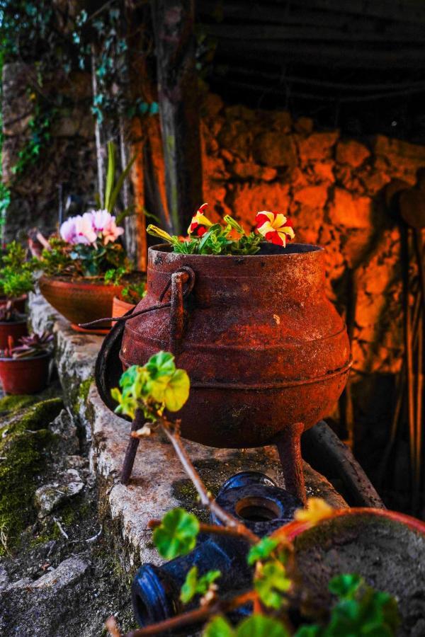 Country house Casa Do Ribeiro *