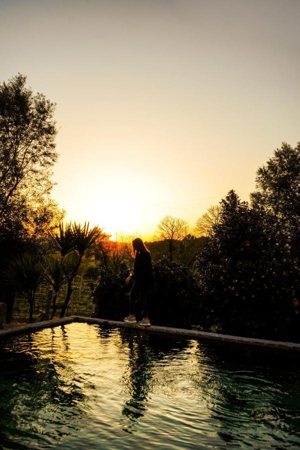 Casa Do Ribeiro Country house